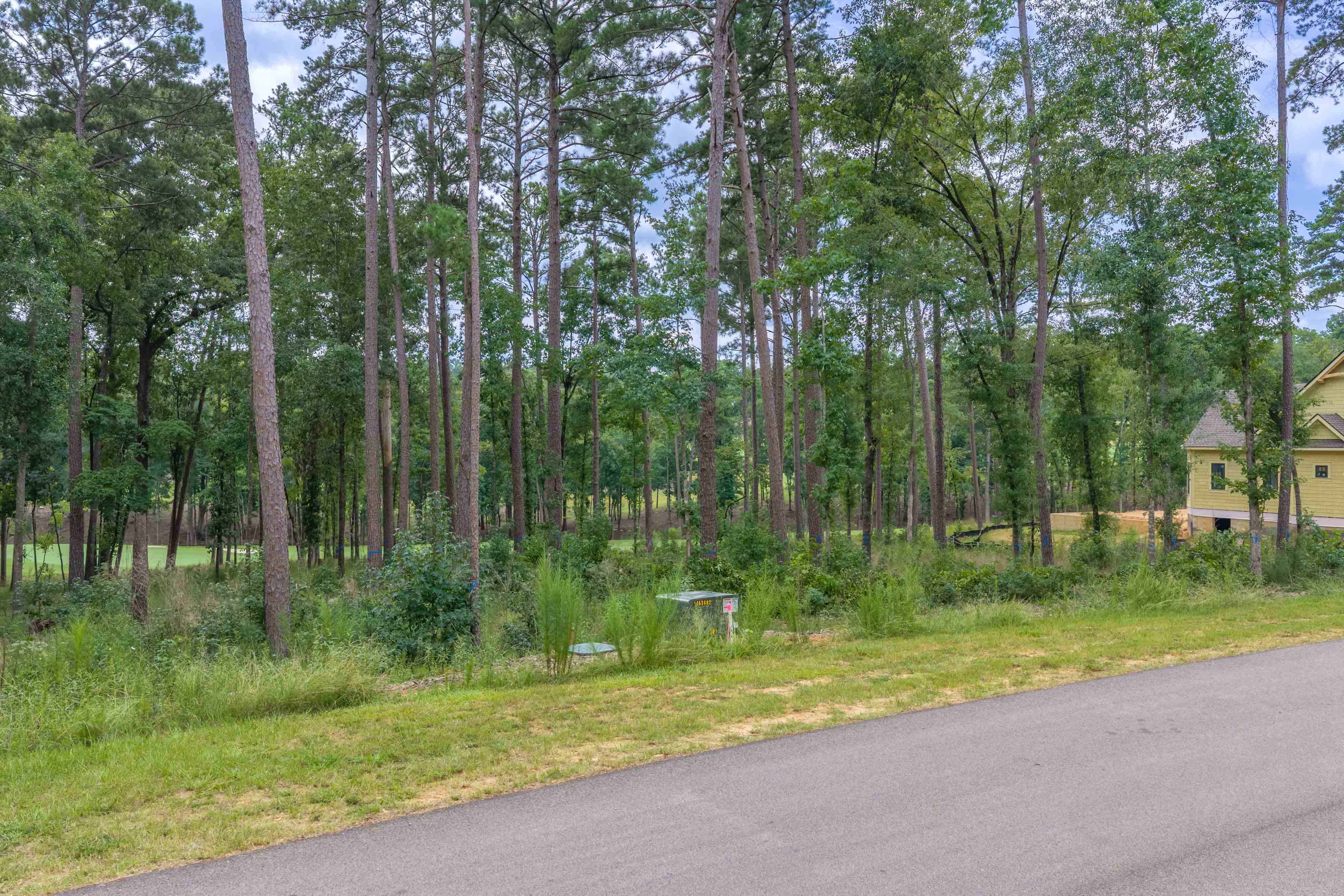 1131 Grove Ridge View image 3